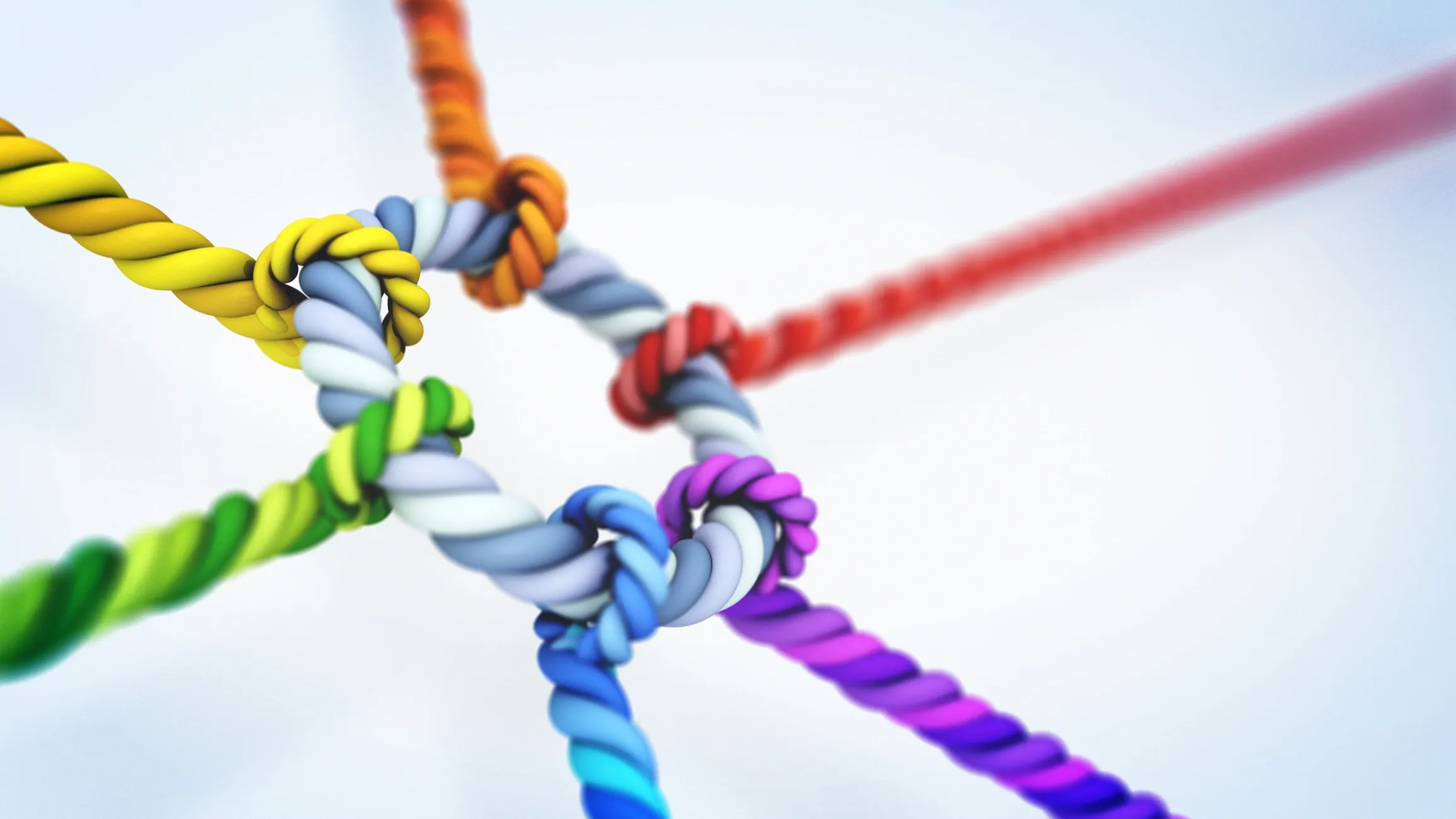 Values underpinning Nexus Talent Search